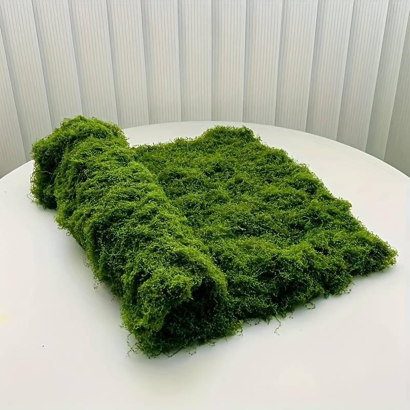 Sphagnum Moss Dry - 20