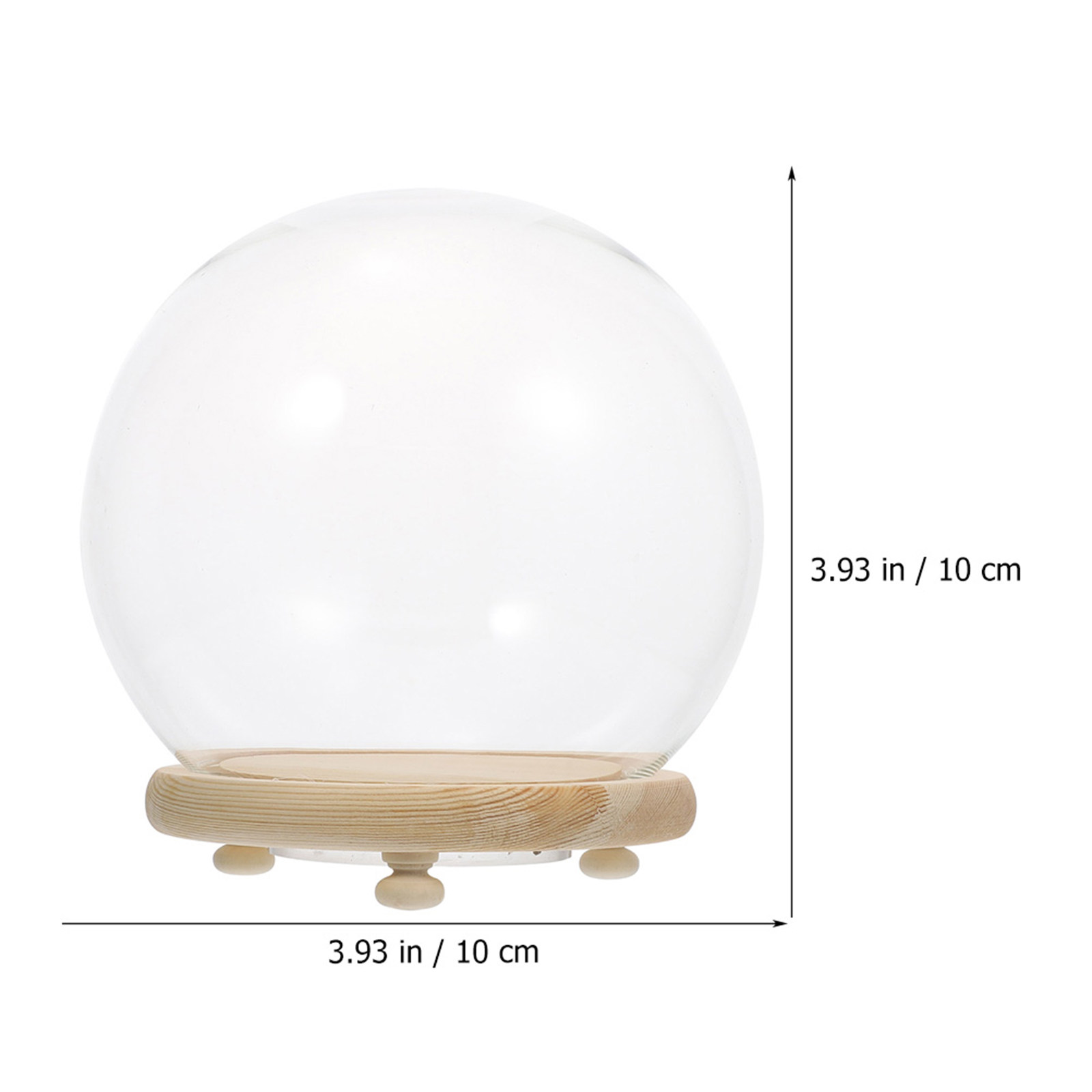 Clear Glass Dome Display Case  – Plastic Dome Clear Bewertung und Preis
