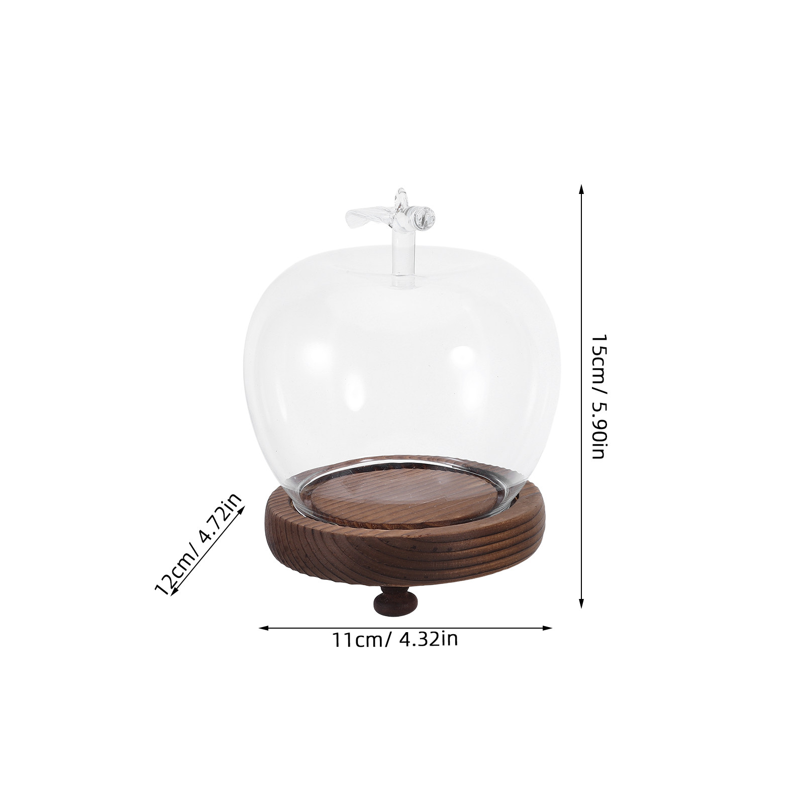 Glass Dome Cloche Clear Displa – Plastic Dome Clear Bewertung und Preis