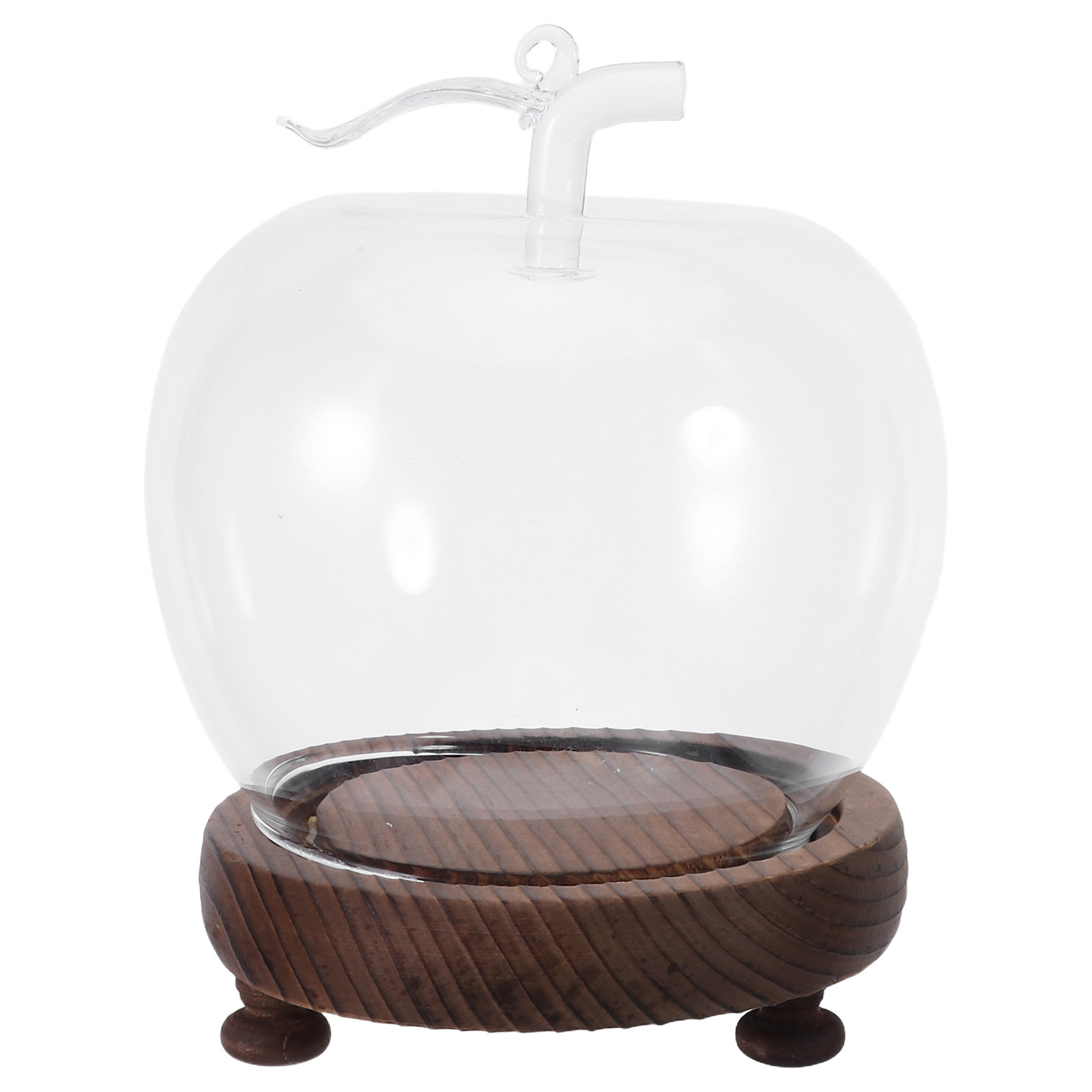 Glass Dome Cloche Clear Displa – Plastic Dome Clear Bewertung und Preis