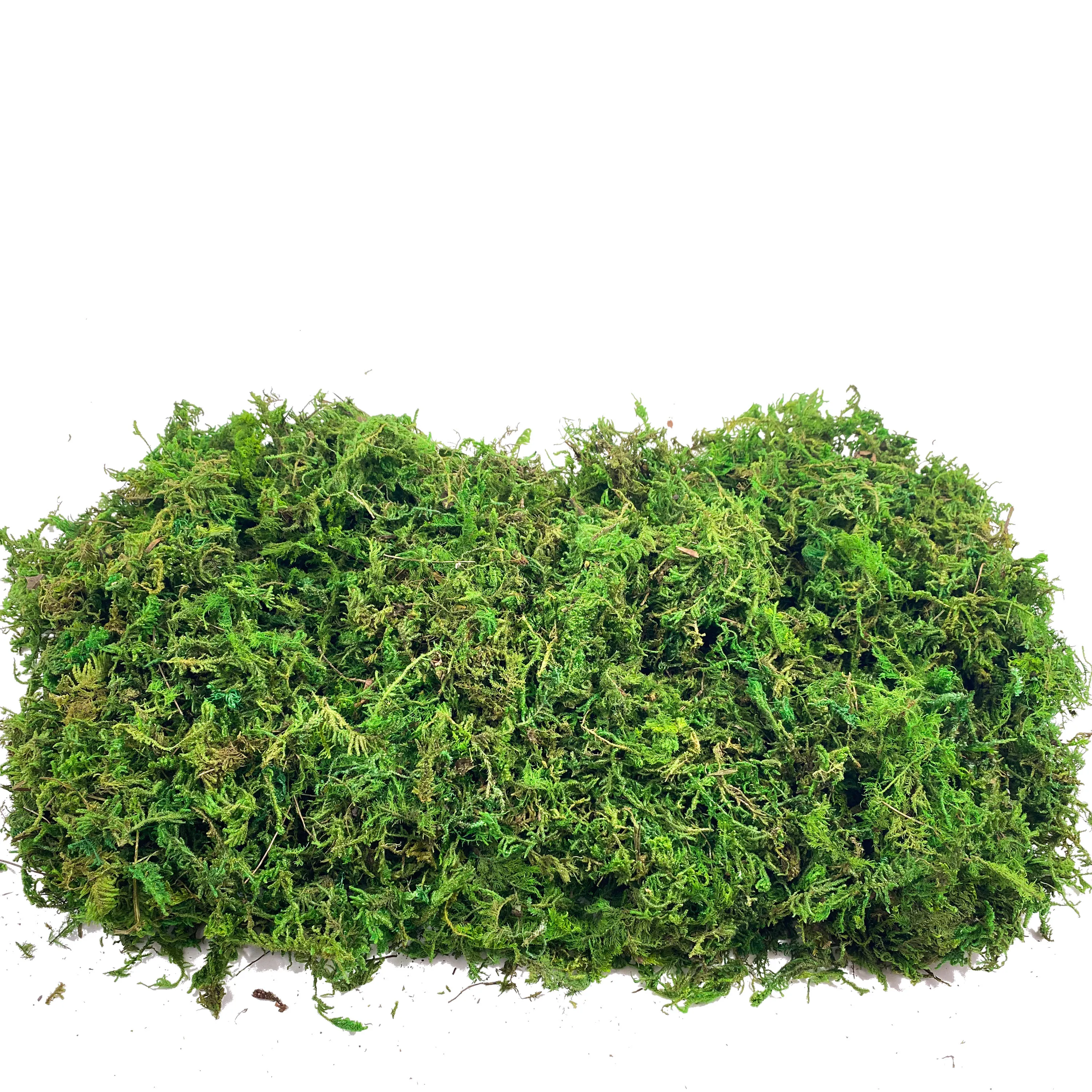 Fake Moss Artificial Moss for  – Sphagnum Moss Dry Bewertung und Preis