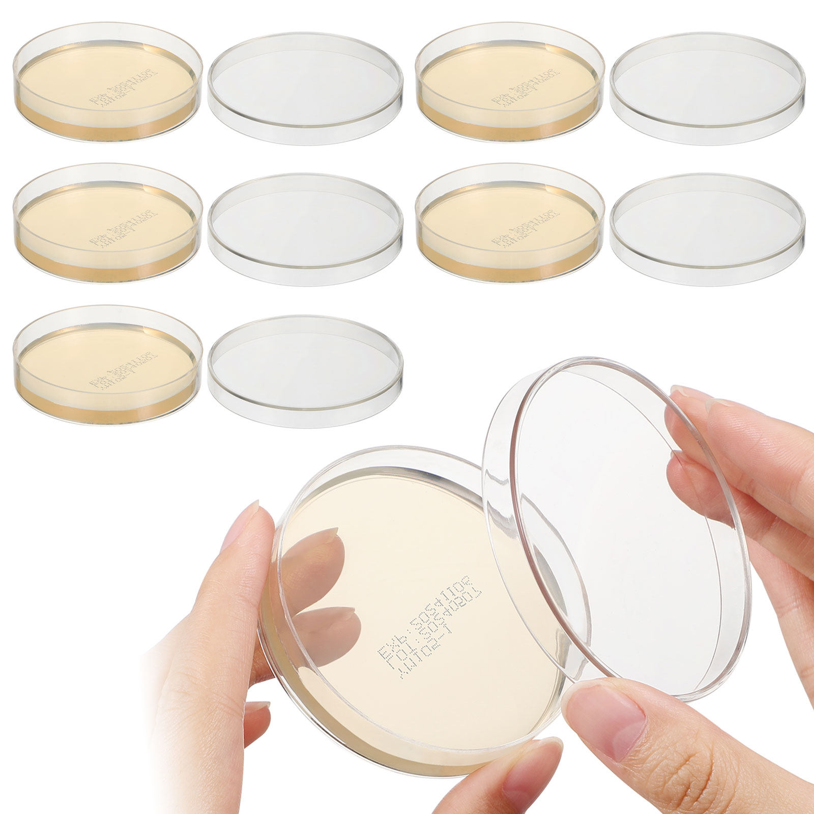 Agar Plates 10pcs Ready to Use – Agar Tissue Culture Bewertung und Preis