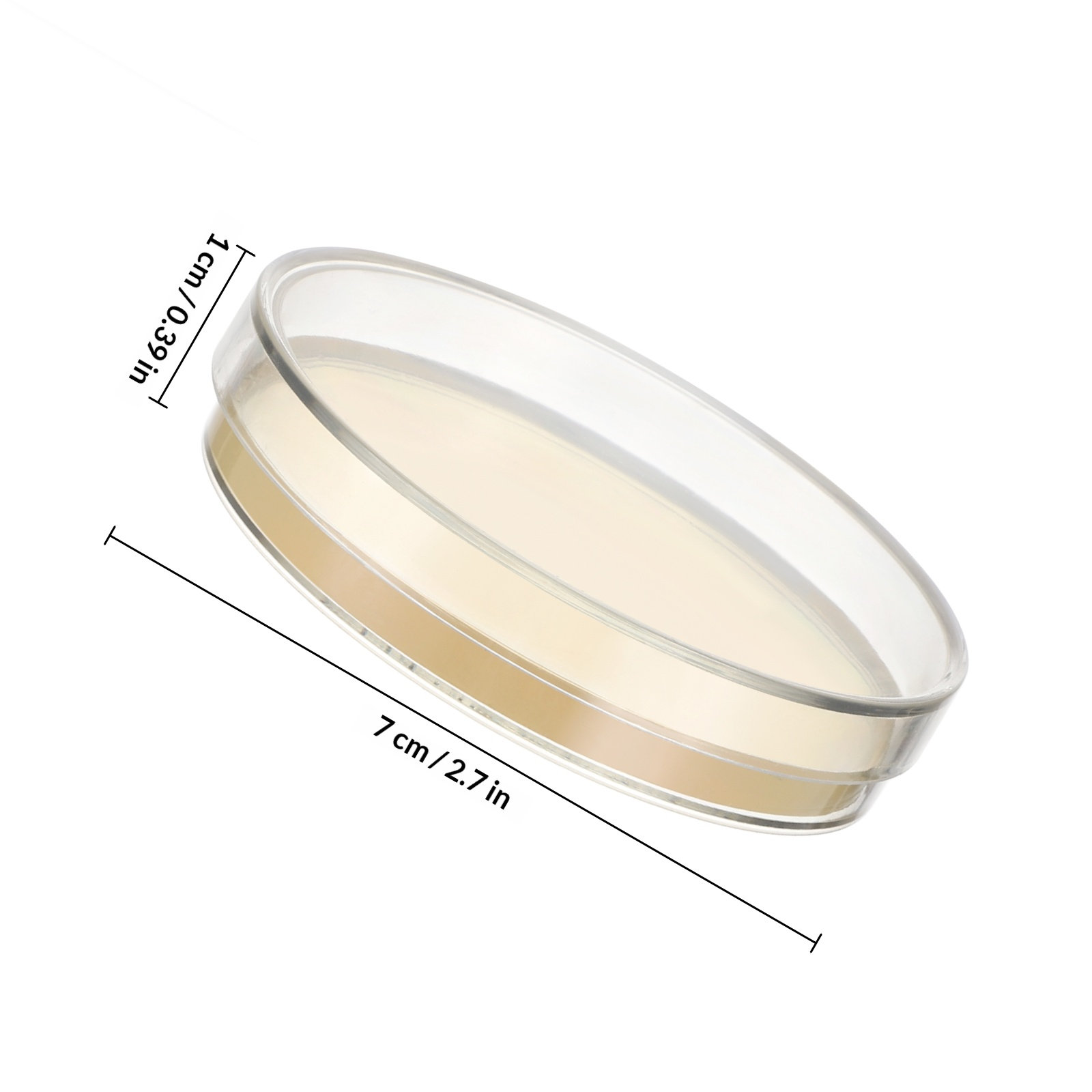 Agar Plates 10pcs Ready to Use – Agar Tissue Culture Bewertung und Preis