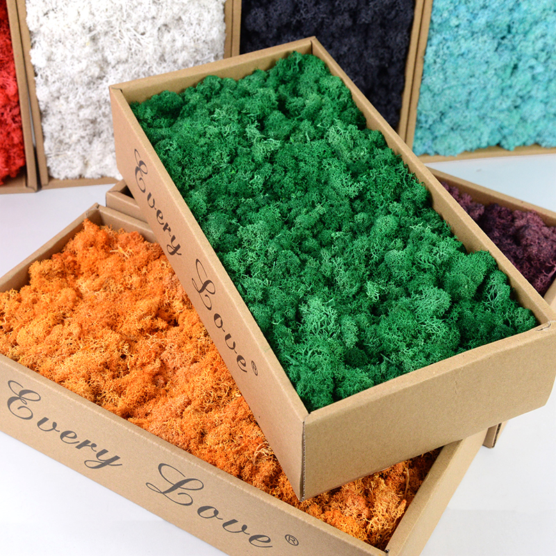 40/20g Artificial Immortal Mos – Sphagnum Moss Dry Bewertung und Preis