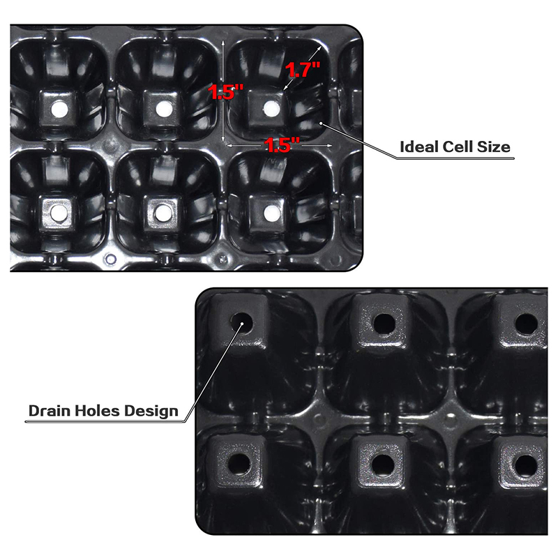 B84B-10 Pack Seed Starter Tray – Propagation Tray 72 Bewertung und Preis