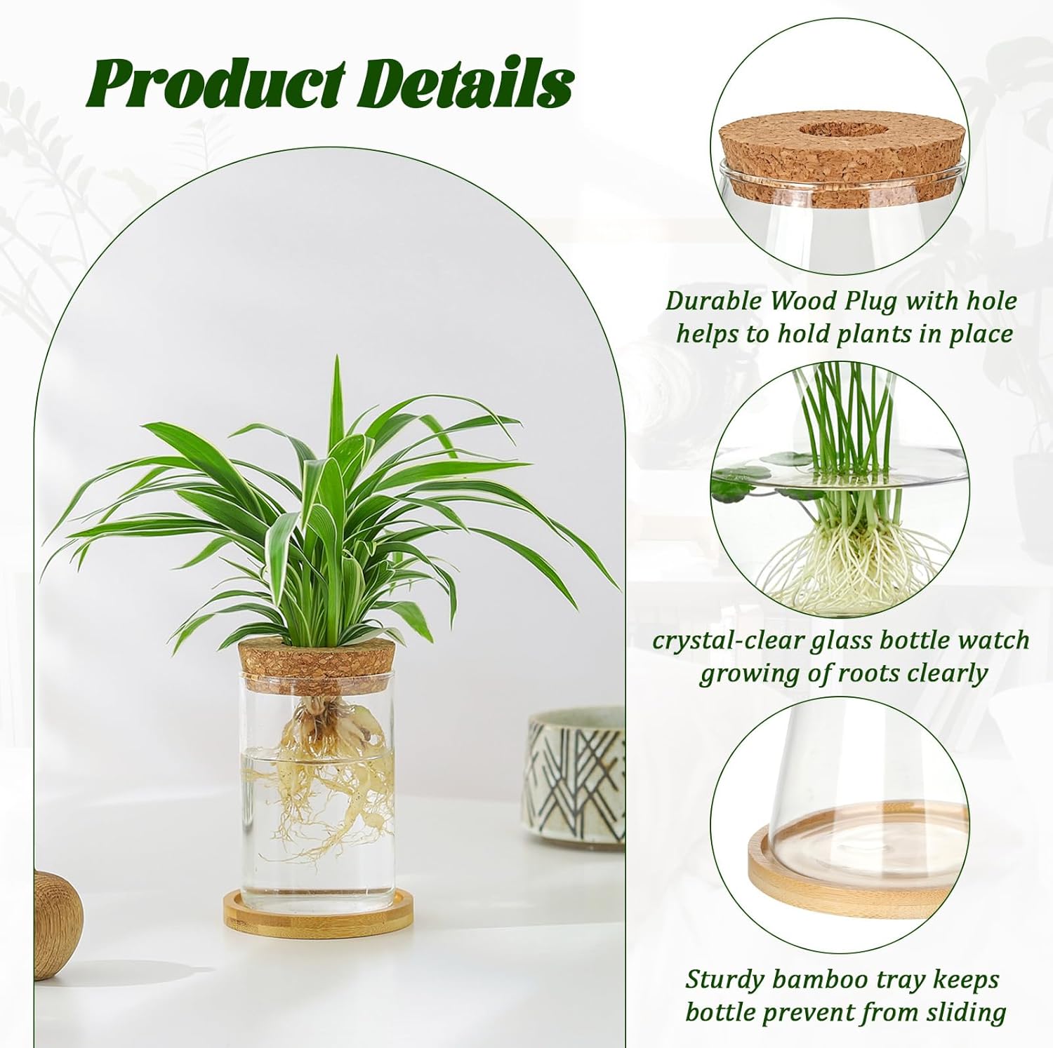 6 Pcs Plants Propagation Stati – Propagation Station Vase Bewertung und Preis