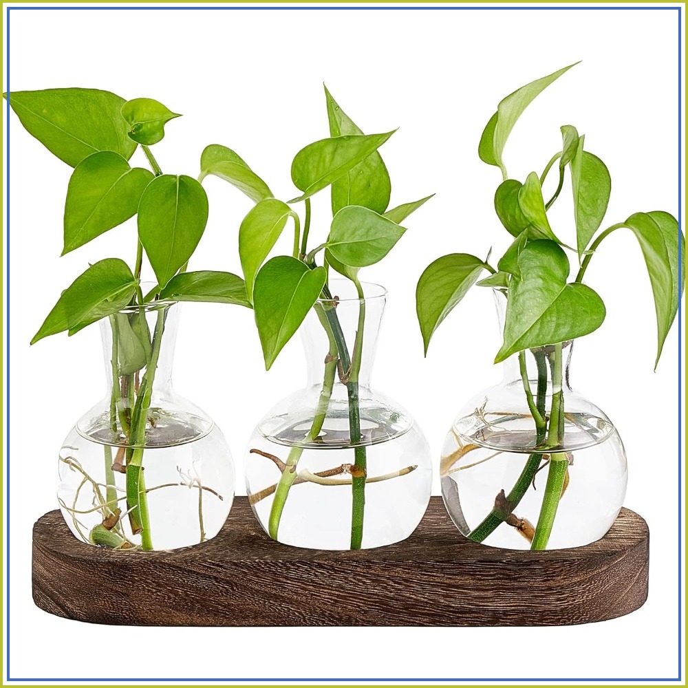 Desktop Plant Propagation Stat – Propagation Station Vase Bewertung und Preis