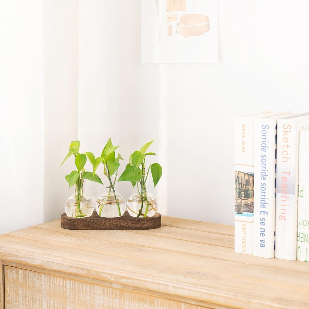 Desktop Plant Propagation Stat – Propagation Station Vase Bewertung und Preis