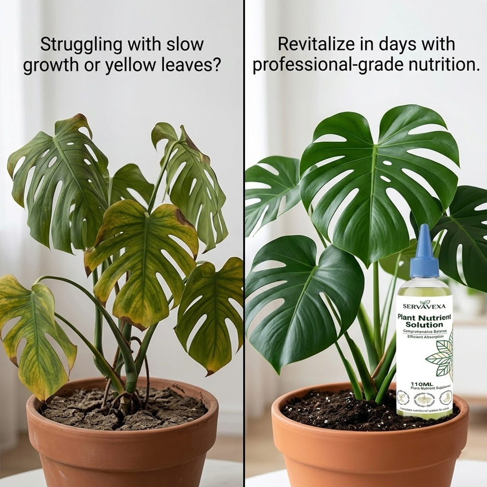 Plant  Nutrient Solution Rapid – Root Stimulator Liquid Bewertung und Preis