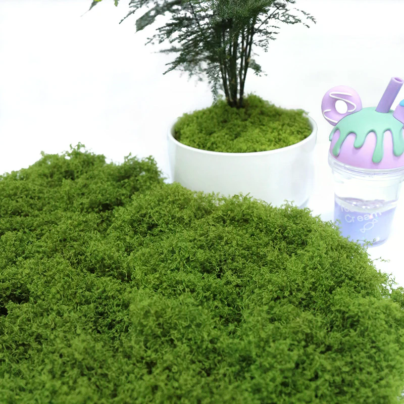 50g Fake Moss DIY Crafts Grass – Sphagnum Moss Dry Bewertung und Preis