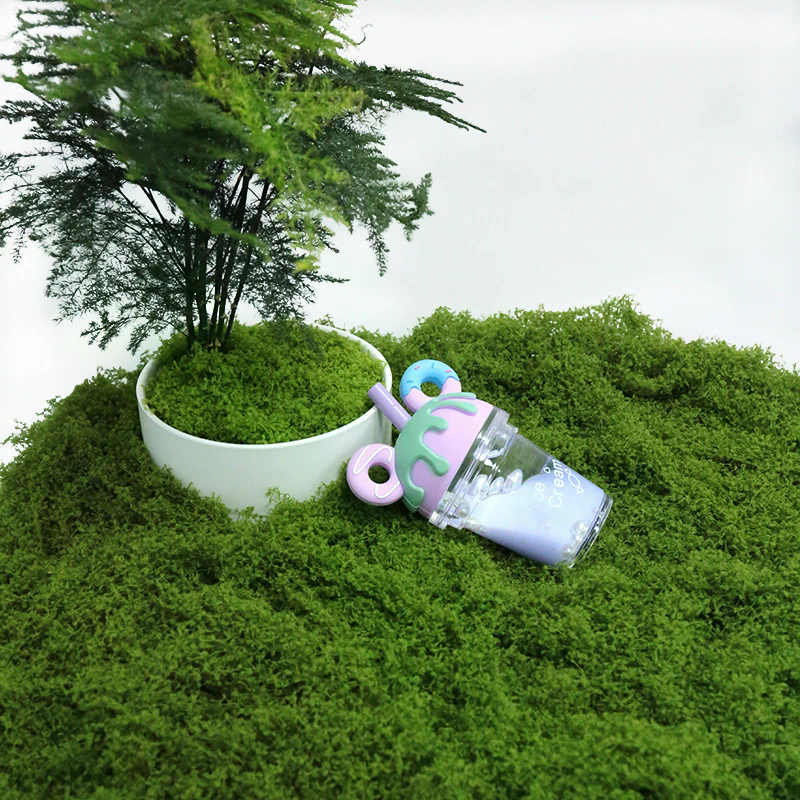 50g Fake Moss DIY Crafts Grass – Sphagnum Moss Dry Bewertung und Preis