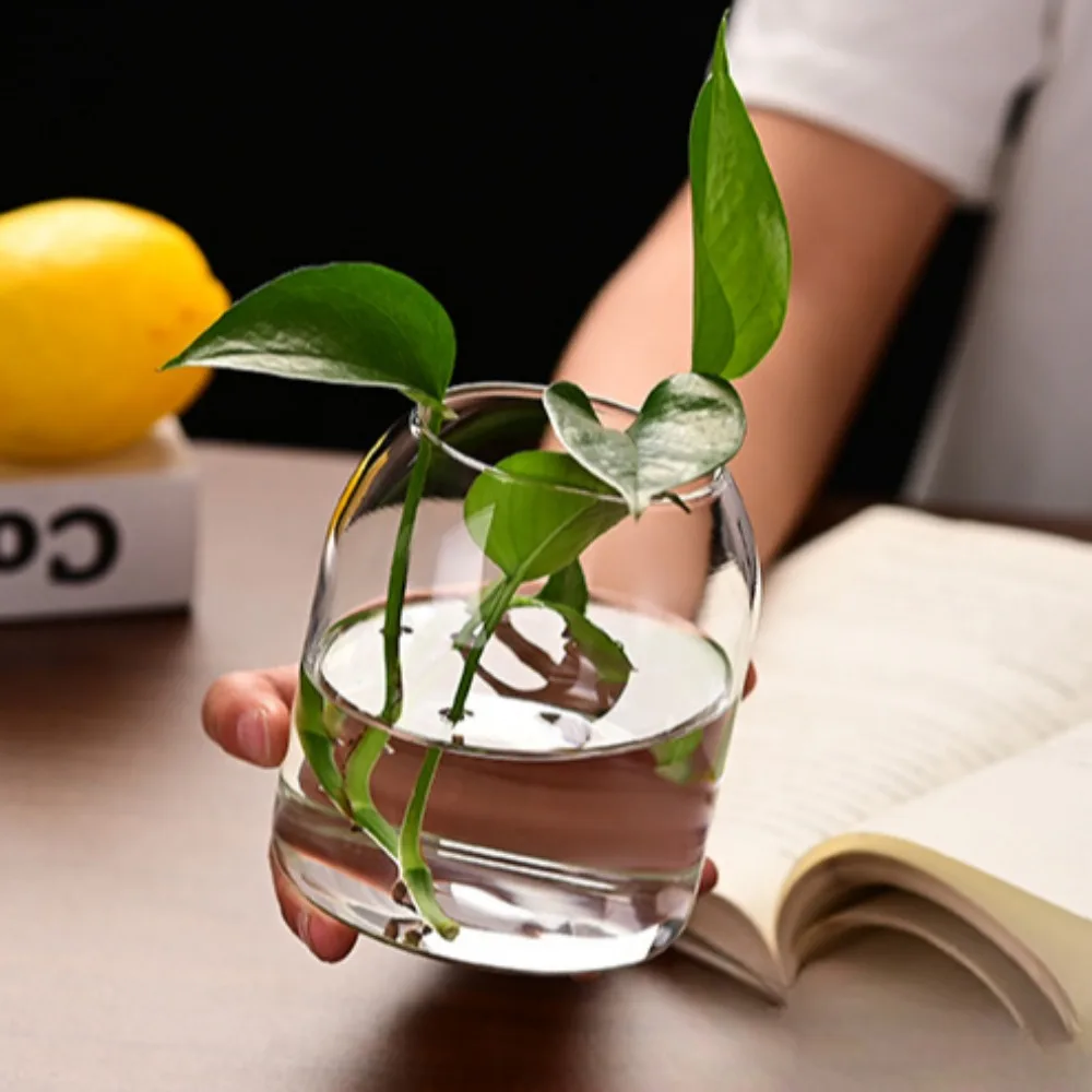 Creative Hydroponic Plant Glas – Propagation Station Vase Bewertung und Preis