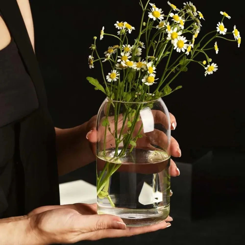 Creative Hydroponic Plant Glas – Propagation Station Vase Bewertung und Preis