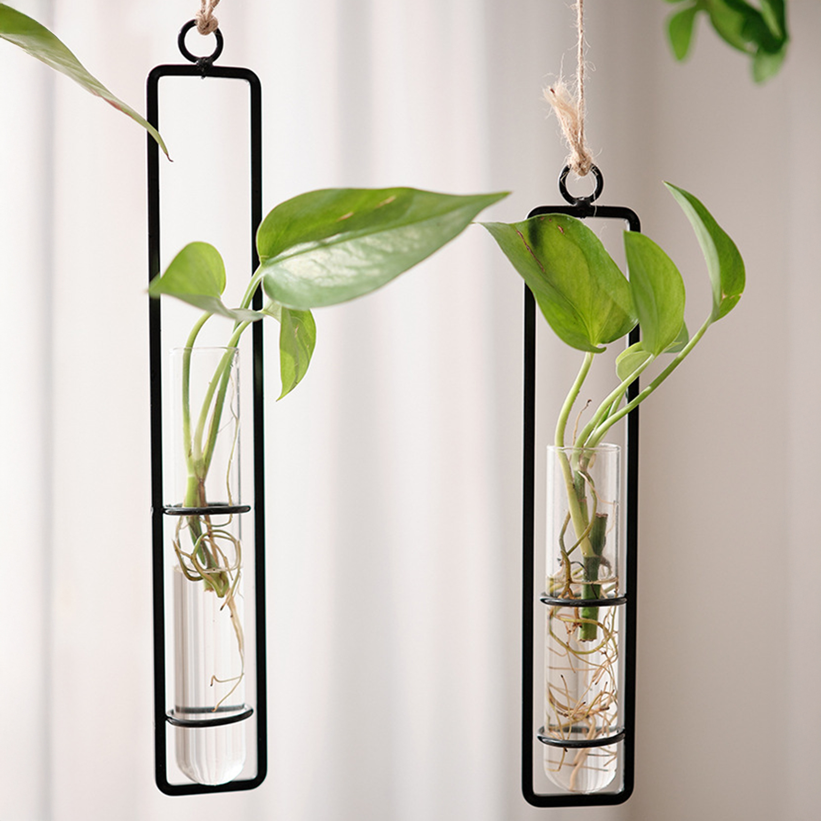 Wall Hanging Glass Vase Europe – Propagation Station Vase Bewertung und Preis