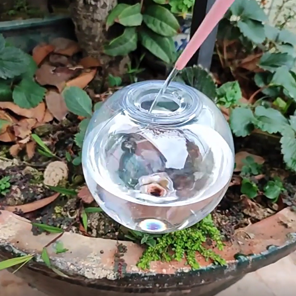 500ML Self Watering Globes Dri – Self Watering Insert Bewertung und Preis