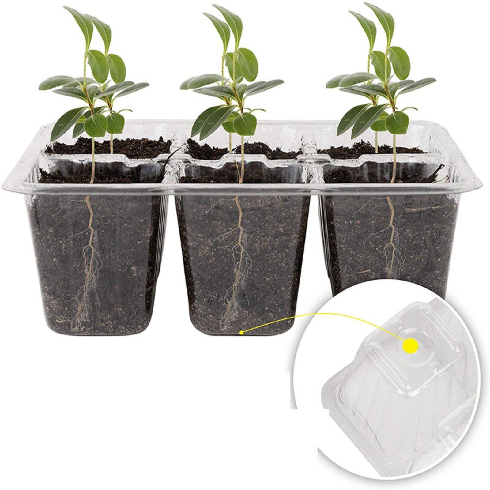 12 Compartment Germination Tra – Humidity Dome Kit Bewertung und Preis