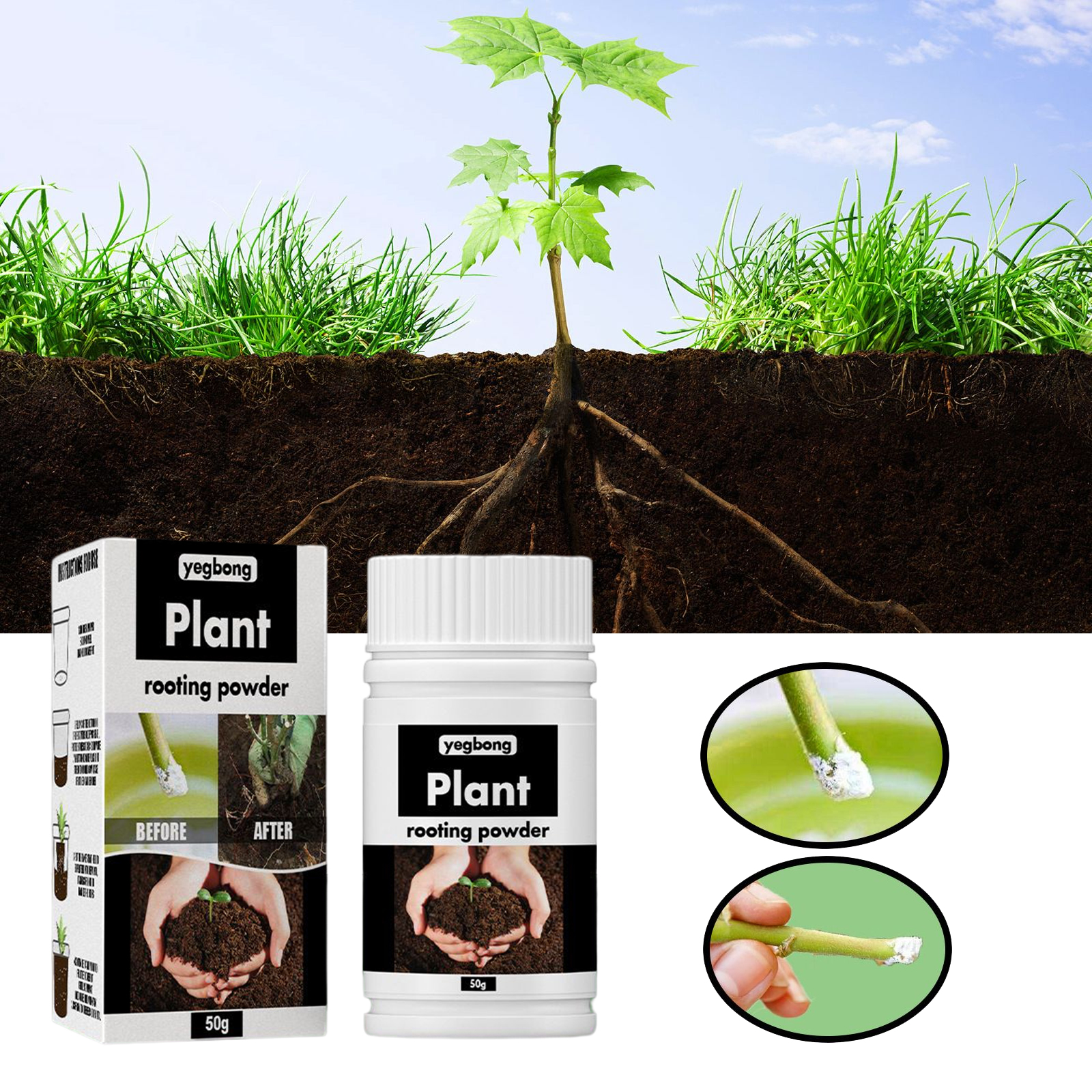 1Rare Plant Rooting Powder Pla – Rooting Hormone Powder Bewertung und Preis