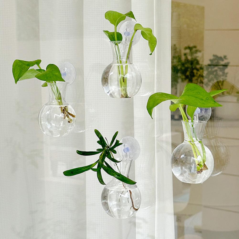 Window Planter Vase Window Pla – Propagation Station Vase Bewertung und Preis