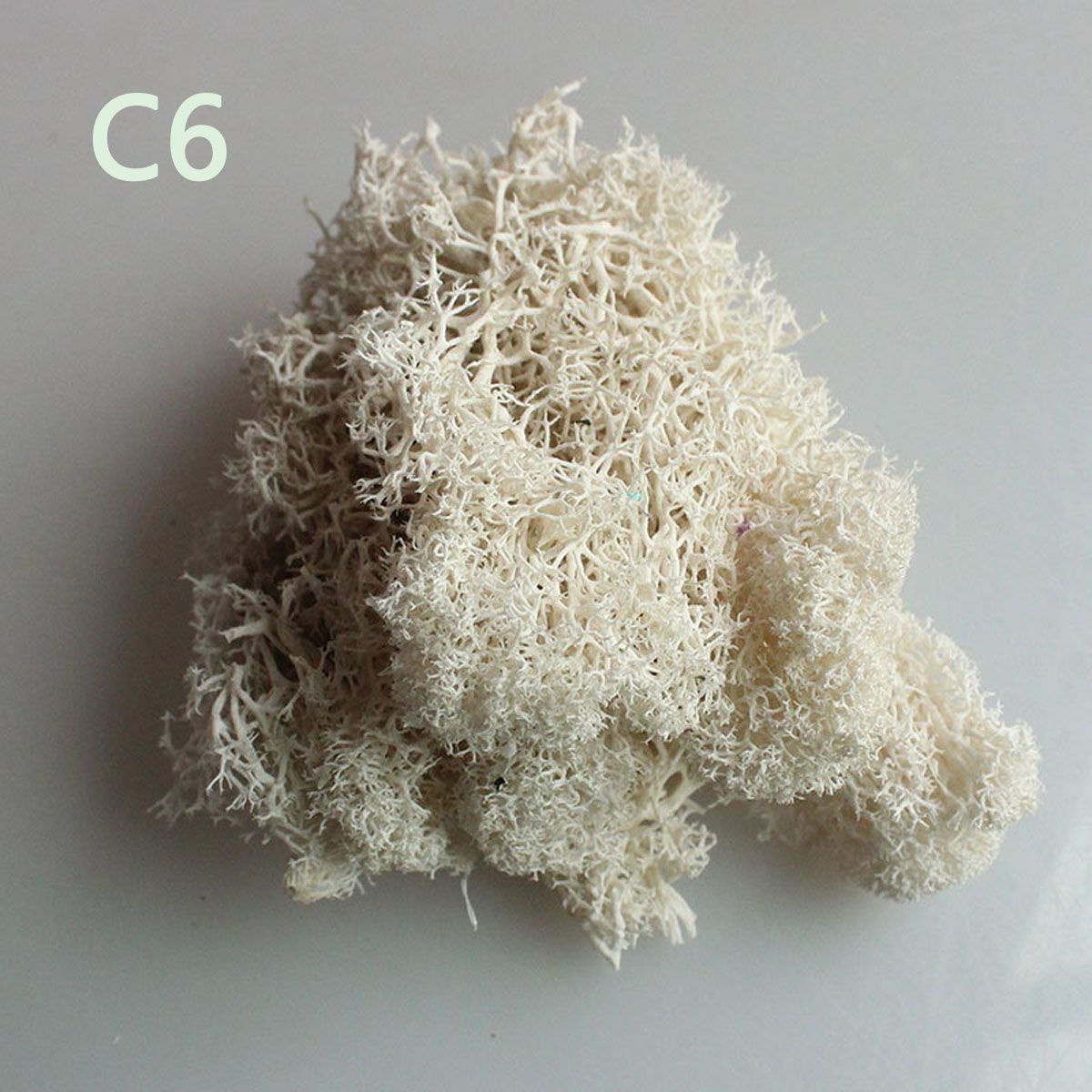 Wedding Accessories Wedding Fl – Sphagnum Moss Dry Bewertung und Preis