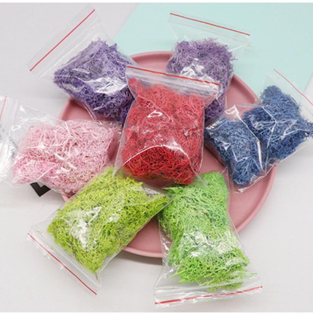 Wedding Accessories Wedding Fl – Sphagnum Moss Dry Bewertung und Preis