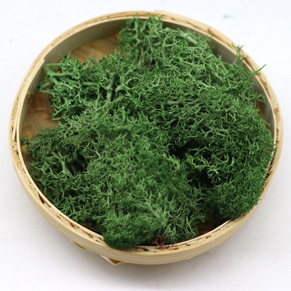 Wedding Accessories Wedding Fl – Sphagnum Moss Dry Bewertung und Preis