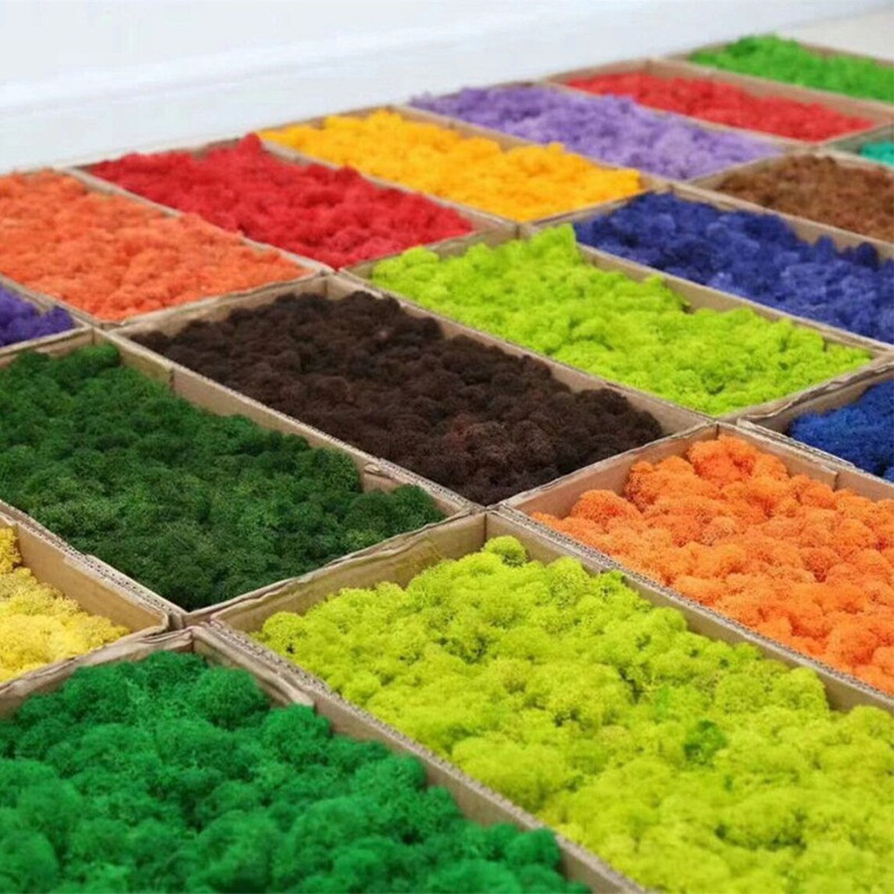 Artificial Green Plants Mini L – Sphagnum Moss Dry Bewertung und Preis