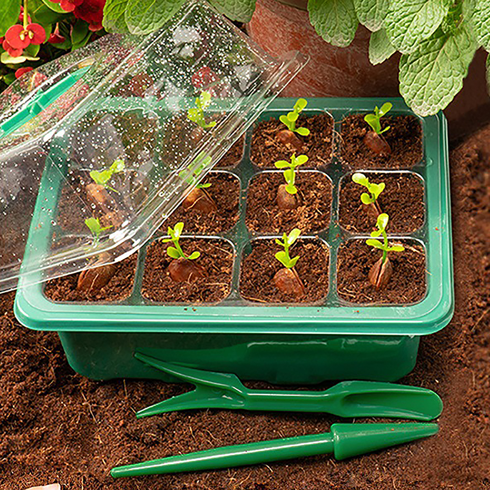 Seed Starter Trays with Grow L – Humidity Dome Kit Bewertung und Preis