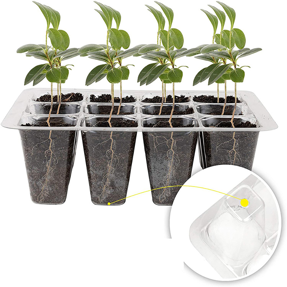Seed Starter Trays with Grow L – Humidity Dome Kit Bewertung und Preis