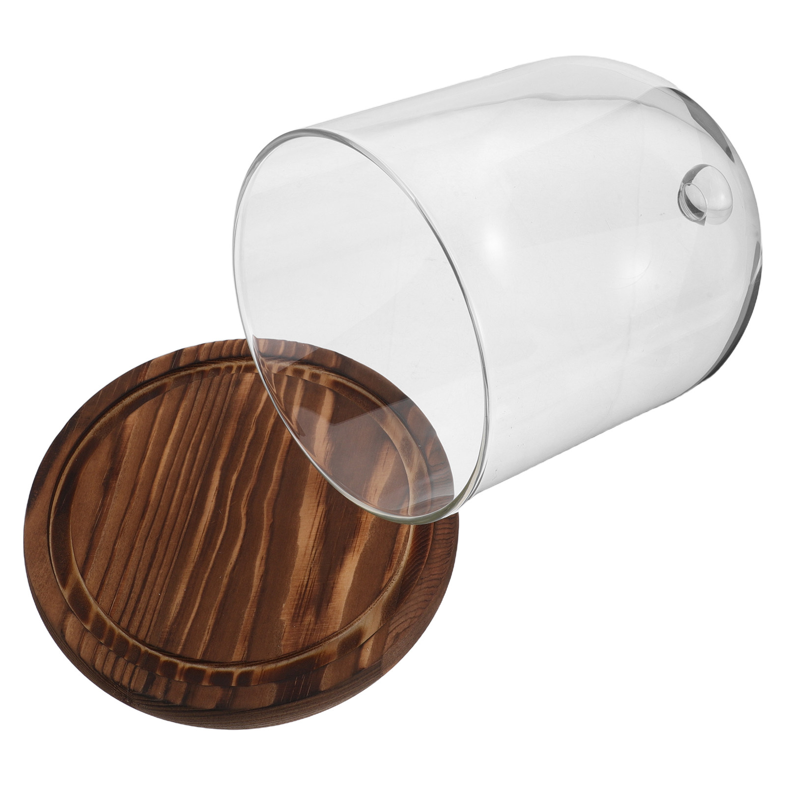 Clear Glass Bell Jar Dome for  – Plastic Dome Clear Bewertung und Preis