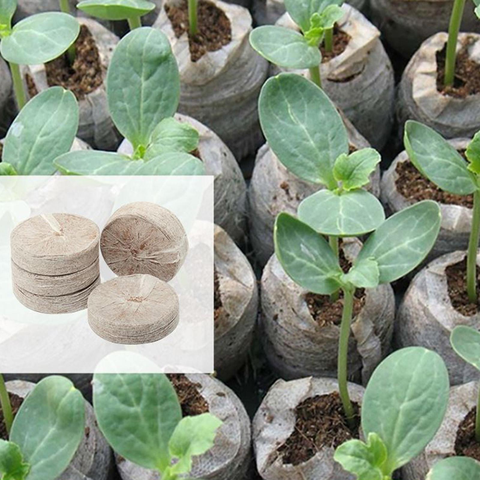 100 Piece Potting Mix Trays 30 – Peat Pellet Tray Bewertung und Preis