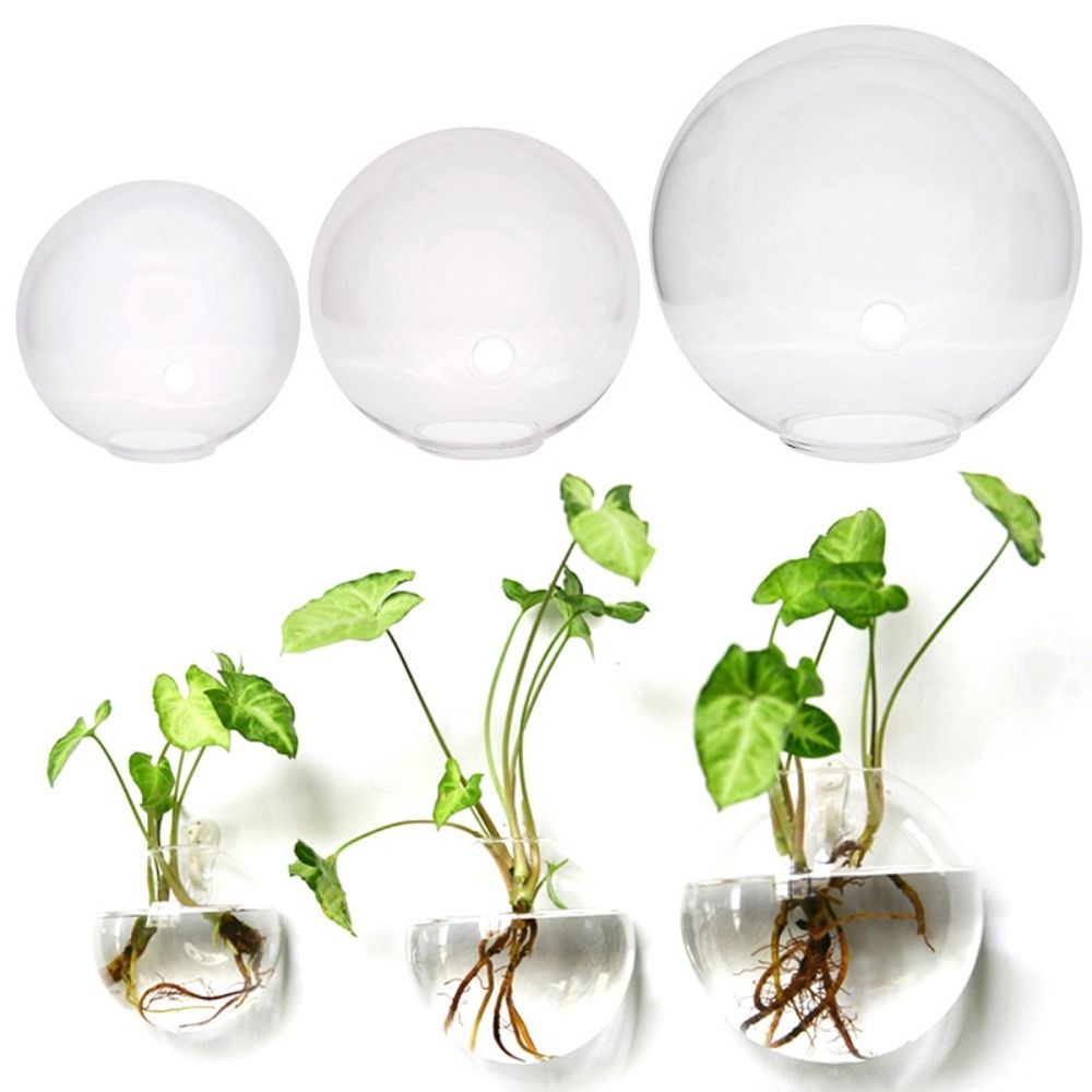 Transparent Glass Vase Wall Ha – Propagation Station Vase Bewertung und Preis