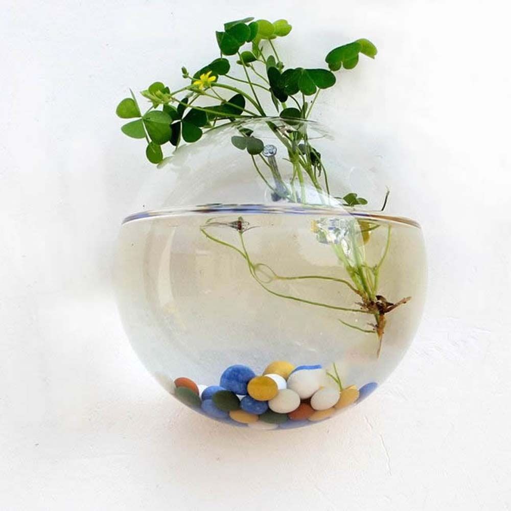 Transparent Glass Vase Wall Ha – Propagation Station Vase Bewertung und Preis
