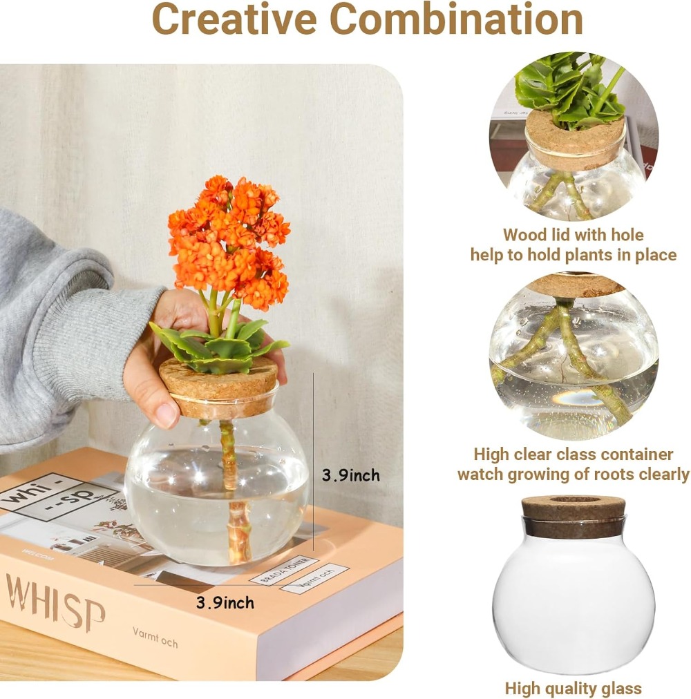 Hydroponic Plant Propagation S – Propagation Station Vase Bewertung und Preis