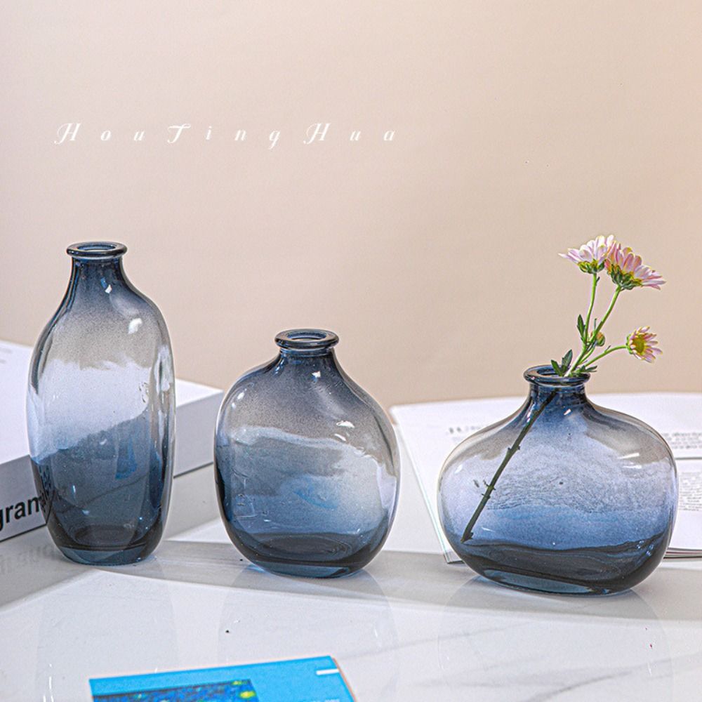 Fashion Retro Flower Vase Glas – Propagation Station Vase Bewertung und Preis