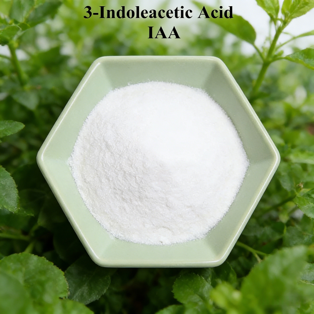3-indoleacetic Acid IAA Auxina – Rooting Hormone Powder Bewertung und Preis