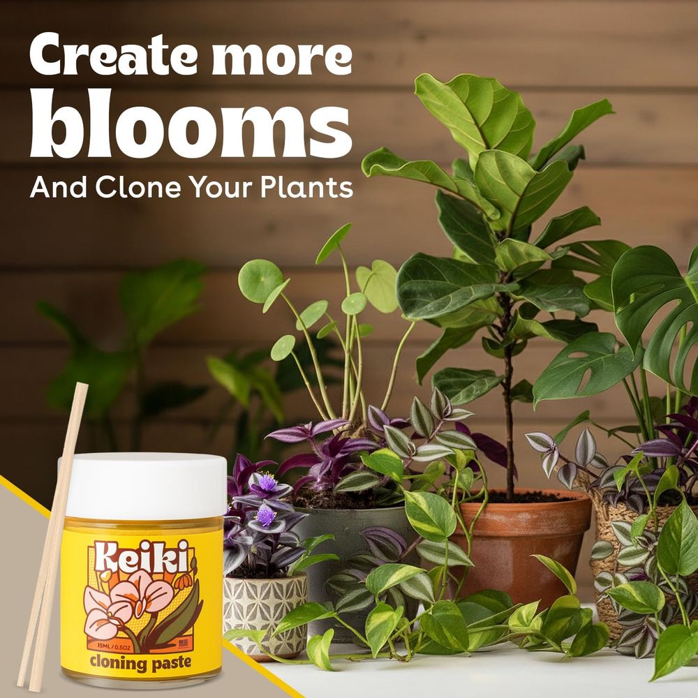 Paste or Plants to Clone & Cre – Rooting Gel Clone Bewertung und Preis