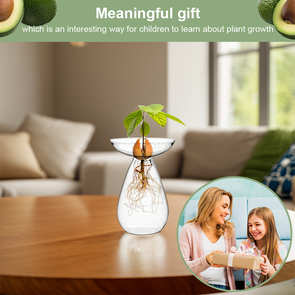 Avocado Seed Starter Vase Tran – Propagation Station Vase Bewertung und Preis