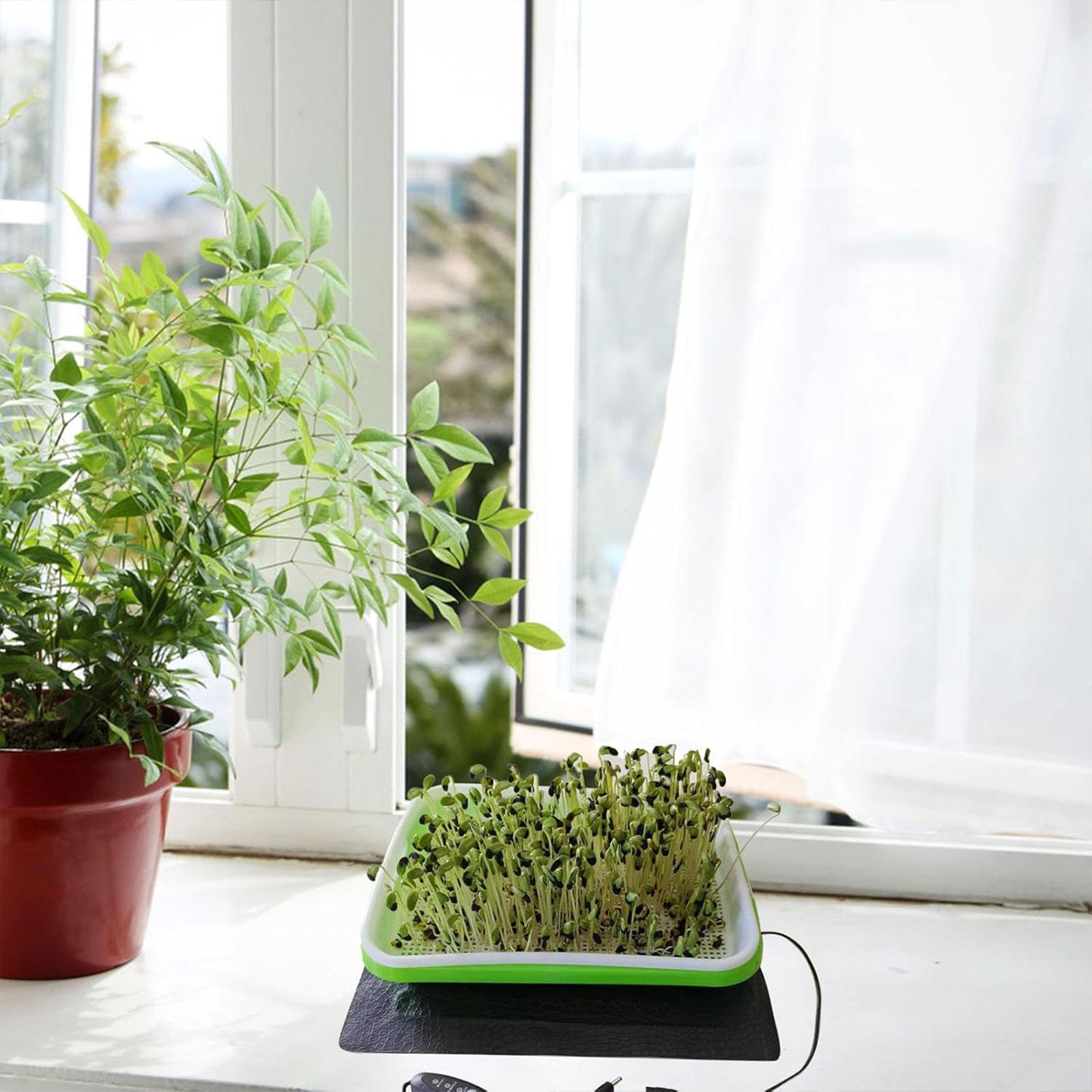 Hydroponic Heat Mat for Seedli – Heat Mat Seedling Bewertung und Preis