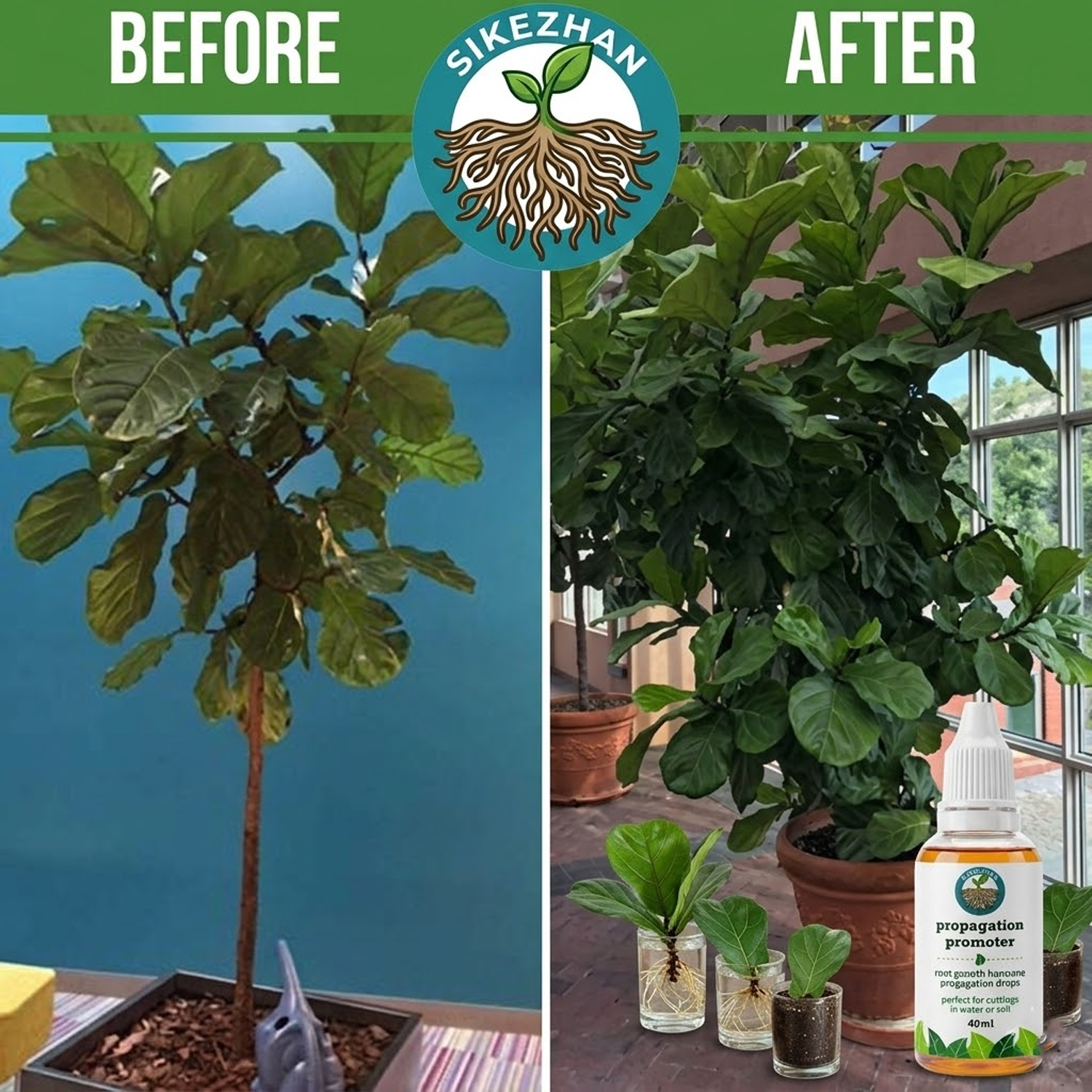 40ml Fast Plant Rooting Liquid – Root Stimulator Liquid Bewertung und Preis