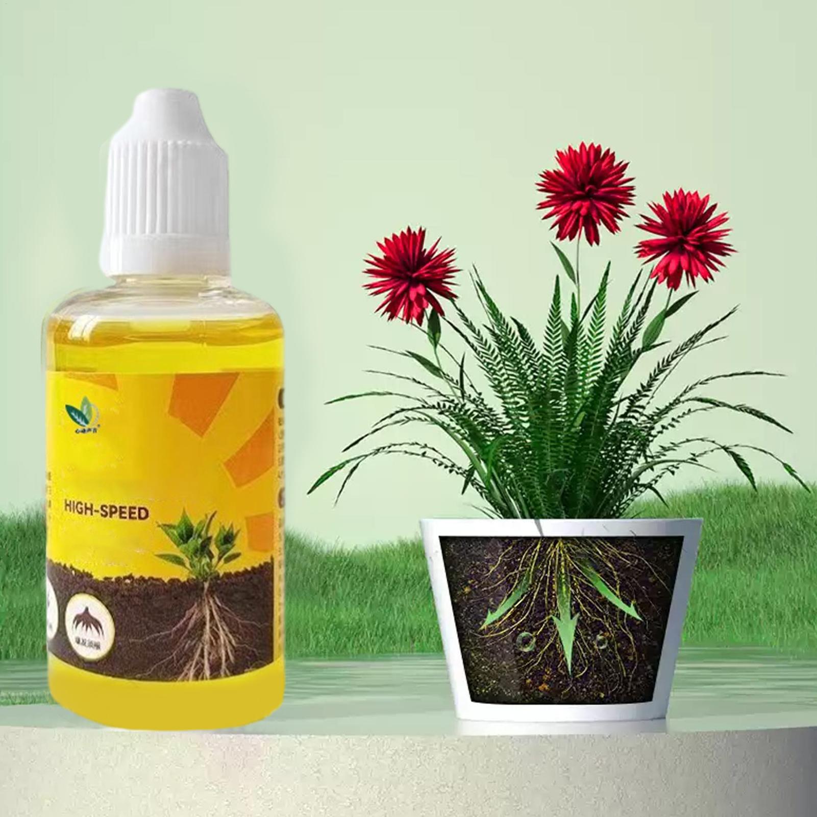 Plant Rapid Rooting Solution 5 – Root Stimulator Liquid Bewertung und Preis