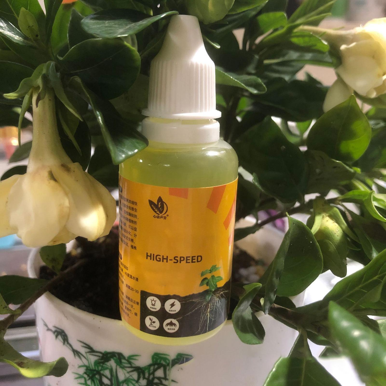 Plant Rapid Rooting Solution 5 – Root Stimulator Liquid Bewertung und Preis
