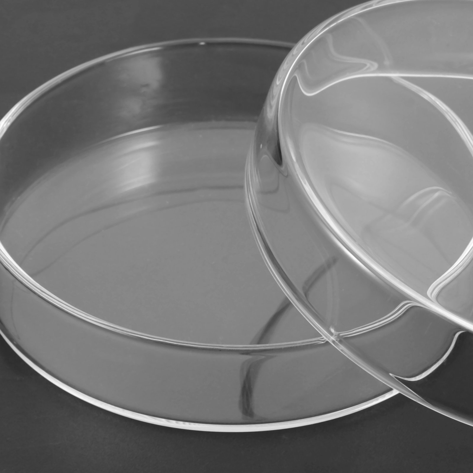 Glass Petri Dish High Borosili – Agar Tissue Culture Bewertung und Preis