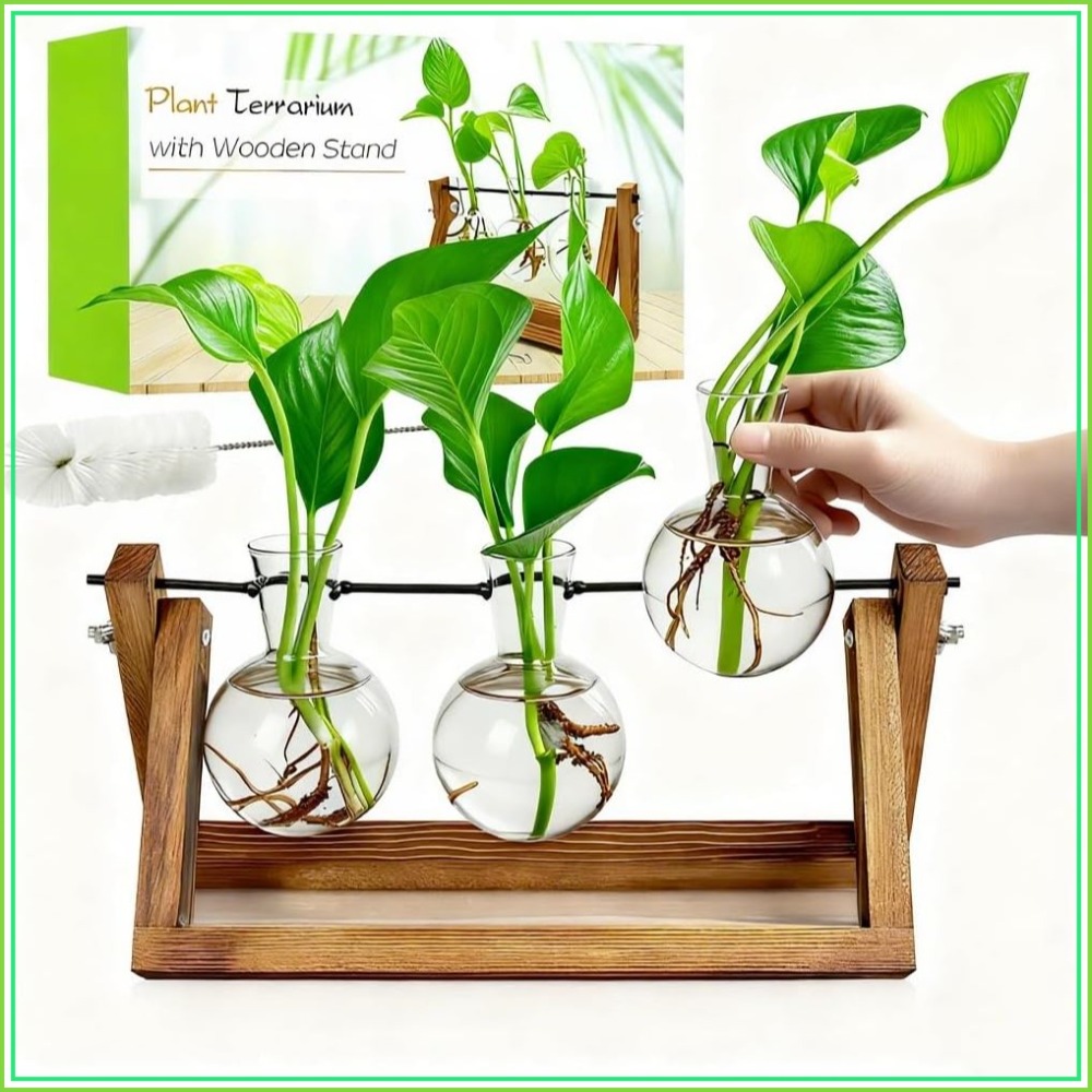 Plant Propagation Station with – Propagation Station Vase Bewertung und Preis