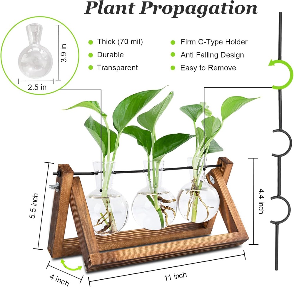 Plant Propagation Station with – Propagation Station Vase Bewertung und Preis