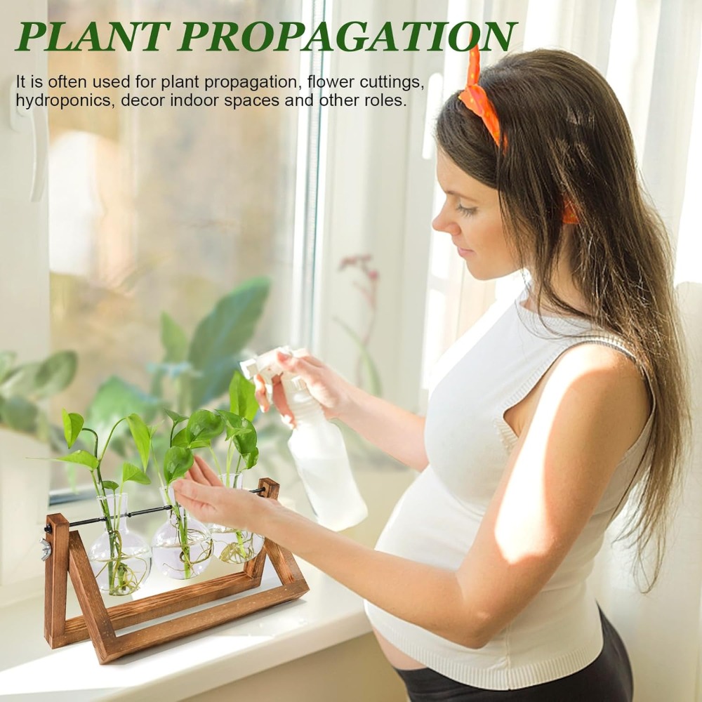 Plant Propagation Station with – Propagation Station Vase Bewertung und Preis