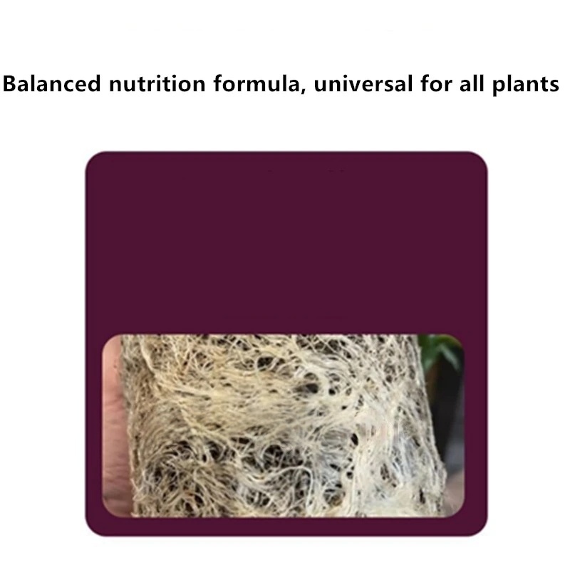 2bags Rooting Hormone Powder U – Rooting Hormone Powder Bewertung und Preis
