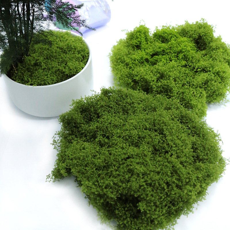 【P】50g Fake Moss DIY Crafts Gr – Sphagnum Moss Dry Bewertung und Preis