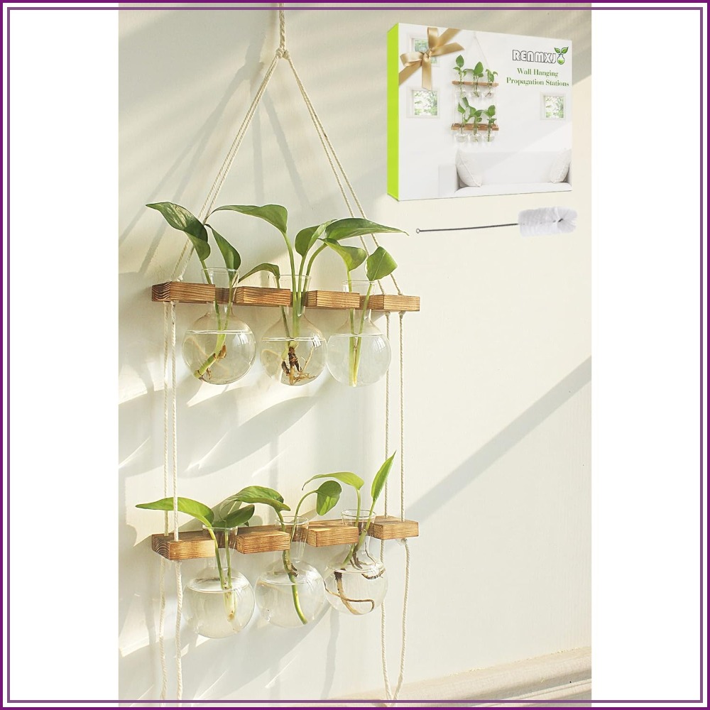 Wall Hanging Plant Propagation – Propagation Station Vase Bewertung und Preis