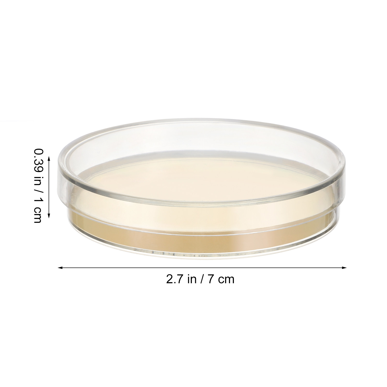 10pcs Pre-filled Agar Plates P – Agar Tissue Culture Bewertung und Preis