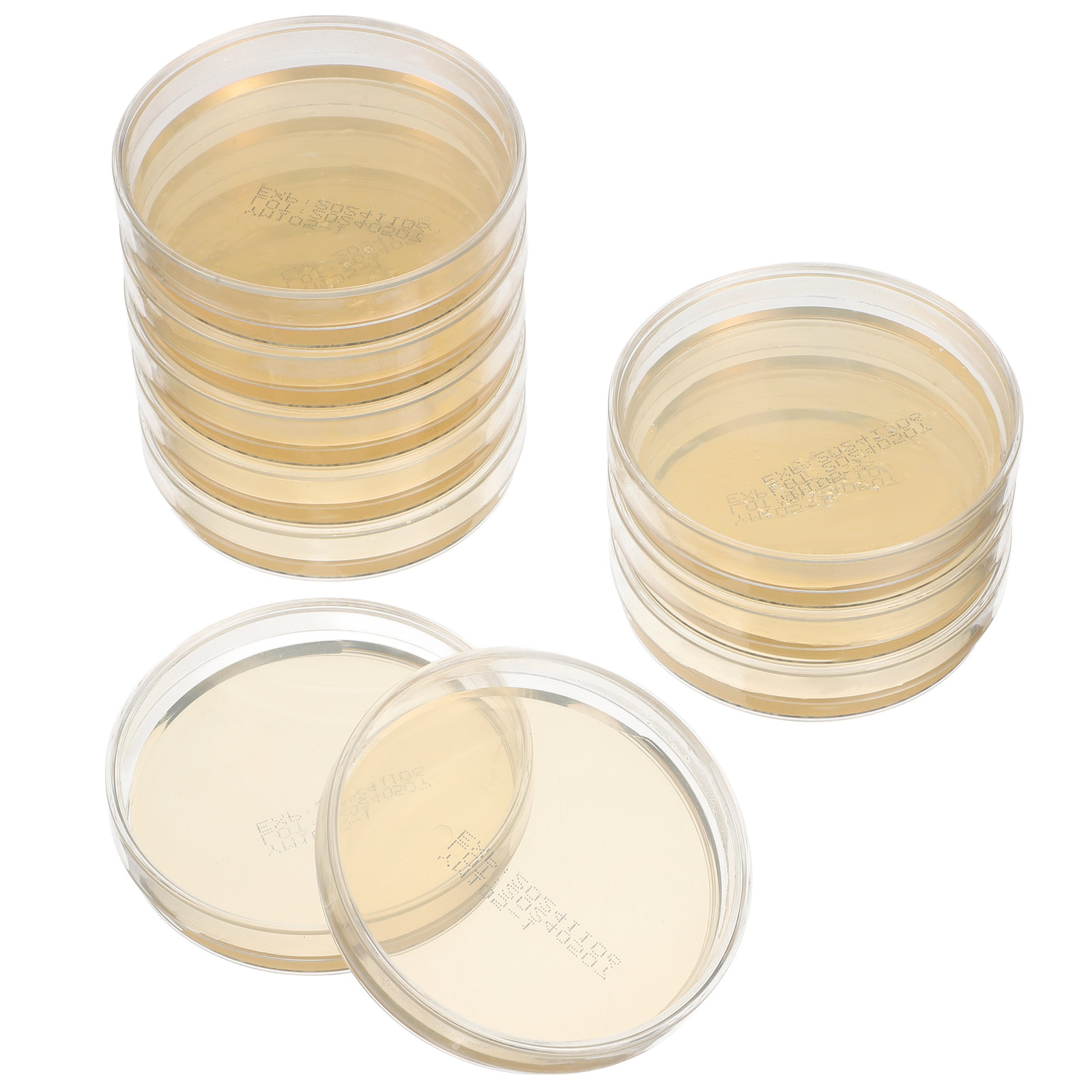 10pcs Pre-filled Agar Plates P – Agar Tissue Culture Bewertung und Preis